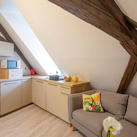 Apartment #cnj - Chez Juliette Et Nicolas- Centre Historique - Au Calme - Wifi - Tout Confort