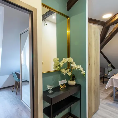 #cnj - Chez Juliette Et Nicolas- Centre Historique - Au Calme - Wifi - Tout Confort Apartment Colmar