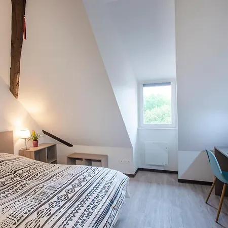 #cnj - Chez Juliette Et Nicolas- Centre Historique - Au Calme - Wifi - Tout Confort Colmar