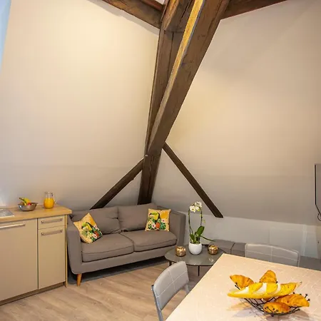 #cnj - Chez Juliette Et Nicolas- Centre Historique - Au Calme - Wifi - Tout Confort Apartment *