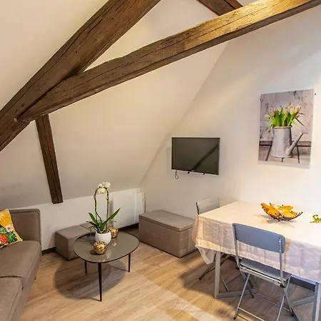 #cnj - Chez Juliette Et Nicolas- Centre Historique - Au Calme - Wifi - Tout Confort Apartment Colmar