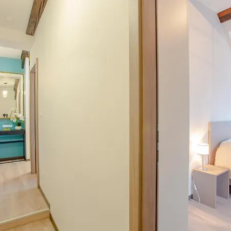 Apartment #cnj - Chez Juliette Et Nicolas- Centre Historique - Au Calme - Wifi - Tout Confort Colmar