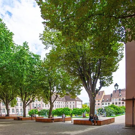 #cnj - Chez Juliette Et Nicolas- Centre Historique - Au Calme - Wifi - Tout Confort Apartment Colmar