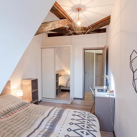 Apartment #cnj - Chez Juliette Et Nicolas- Centre Historique - Au Calme - Wifi - Tout Confort Colmar