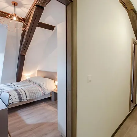 Apartment #cnj - Chez Juliette Et Nicolas- Centre Historique - Au Calme - Wifi - Tout Confort Colmar