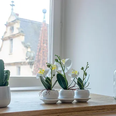 Apartment #cnj - Chez Juliette Et Nicolas- Centre Historique - Au Calme - Wifi - Tout Confort