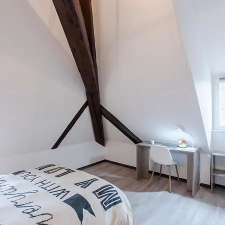 #cnj - Chez Juliette Et Nicolas- Centre Historique - Au Calme - Wifi - Tout Confort Apartment